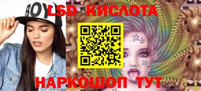 гашик Будённовск