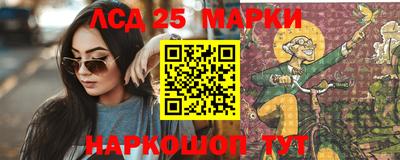 гашик Будённовск