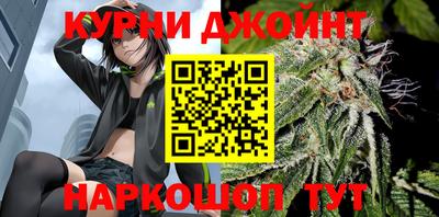 гашик Будённовск