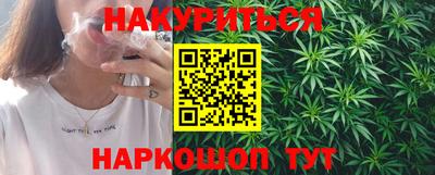 гашик Будённовск
