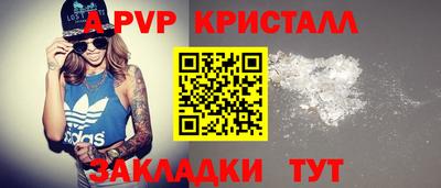 гашик Будённовск