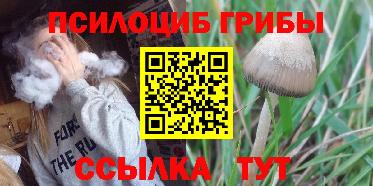 Миллерово  Галлюциногенные грибы Cubensis  Вход с VPN 
