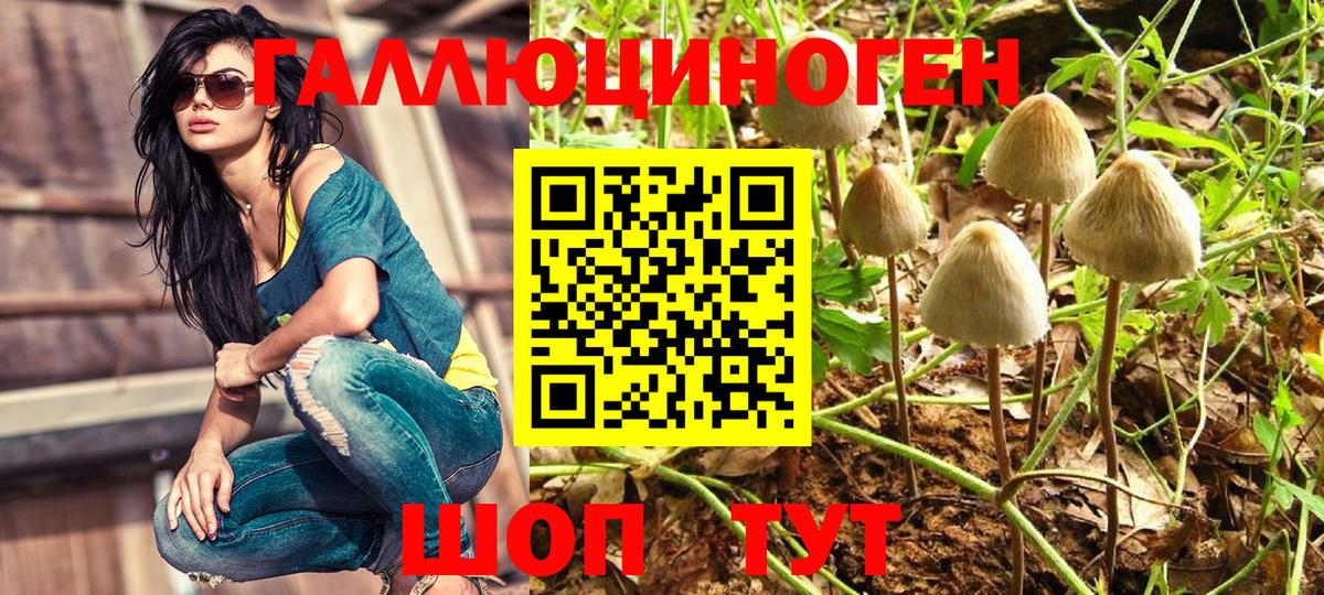 Галлюциногенные грибы мухоморы Миллерово